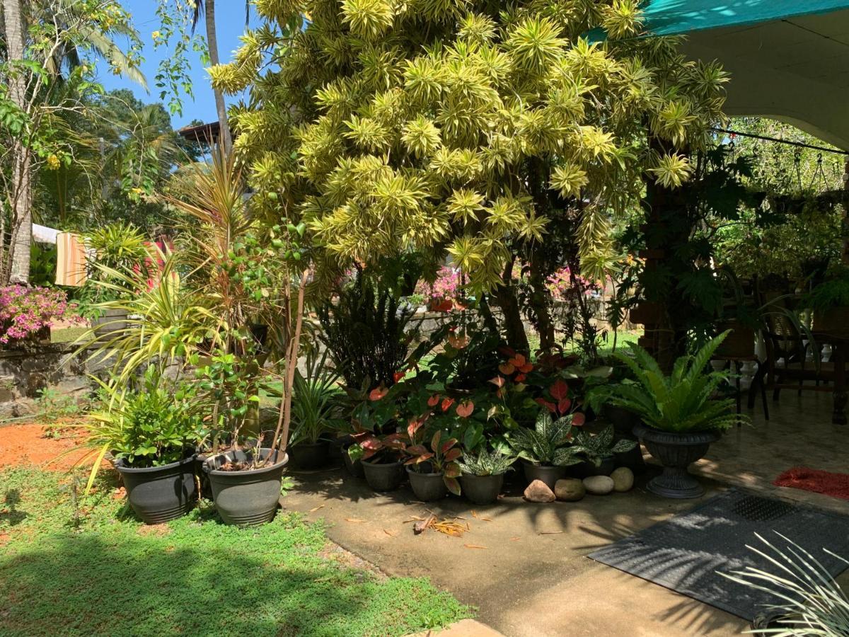Tranquil Private Villa Near Bentota Beach Esterno foto